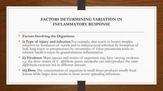 FACTORS DETERMINING VARIATION IN
INFLAMMATORY RESPONSE
• Factors Involving the Organisms
• i) Type of injury and infection For example, skin reacts to herpes simplex
infection by formation of vesicle and to streptococcal infection by formation of
boil; lung reacts to pneumococci by occurrence of lobar pneumonia while to
tubercle bacilli it reacts by granulomatous inflammation.
• ii) Virulence Many species and strains of organisms may have varying virulence
e.g. the three strains of C. diphtheria (gravis, intermedius and mitis) produce the same
diphtheria exotoxin but in different amount.
• iii) Dose The concentration of organism in small doses produces usually local
lesions while larger dose results in more severe spreading infections.
 