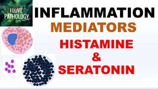 Inflammation
Part 4
 
