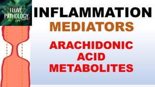 Inflammation
Part 5
 
