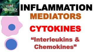 CYTOKINES
INFLAMMATION
MEDIATORS
“Interleukins &
Chemokines”
 