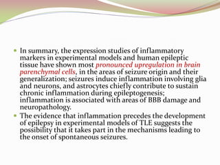 Inflammation and epilepsy | PDF
