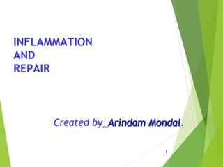 INFLAMMATION
AND
REPAIR
Created by_Arindam Mondal_Arindam Mondal.
1
 