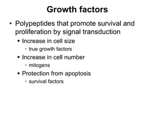 Growth factors
• Polypeptides that promote survival and
proliferation by signal transduction
 Increase in cell size
• true growth factors
 Increase in cell number
• mitogens
 Protection from apoptosis
• survival factors
 