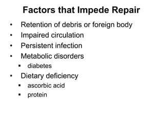 Factors that Impede Repair
• Retention of debris or foreign body
• Impaired circulation
• Persistent infection
• Metabolic disorders
 diabetes
• Dietary deficiency
 ascorbic acid
 protein
 