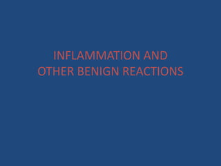 INFLAMMATION AND
OTHER BENIGN REACTIONS
 