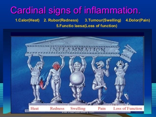 5 mechanisms defense body by /orthodontic repair Inflammation courses and Indian 5 mechanisms defense body by /orthodontic repair Inflammation courses and Indian