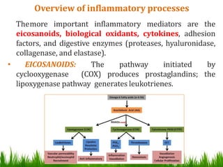 Inflammation and repair | PPTX