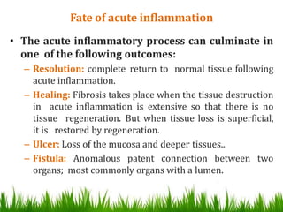 Inflammation and repair | PPTX