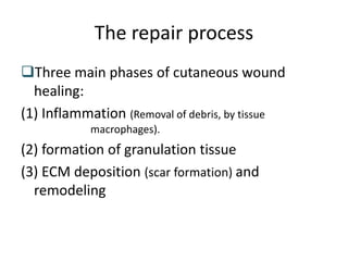 Inflammation and repair | PPTX
