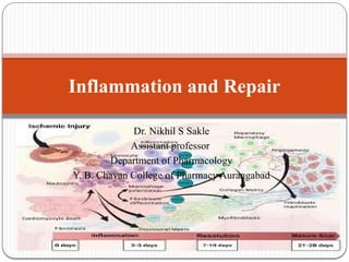 Comprehensive Overview of Inflammation and Tissue Repair Mechanisms | PPTX