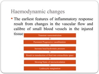 Comprehensive Overview of Inflammation and Tissue Repair Mechanisms | PPTX