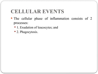 Comprehensive Overview of Inflammation and Tissue Repair Mechanisms | PPTX