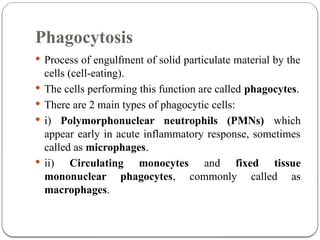 Comprehensive Overview of Inflammation and Tissue Repair Mechanisms | PPTX