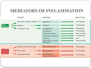 Comprehensive Overview of Inflammation and Tissue Repair Mechanisms | PPTX