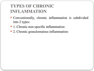 Comprehensive Overview of Inflammation and Tissue Repair Mechanisms | PPTX