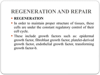 Comprehensive Overview of Inflammation and Tissue Repair Mechanisms | PPTX
