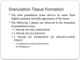 Comprehensive Overview of Inflammation and Tissue Repair Mechanisms | PPTX