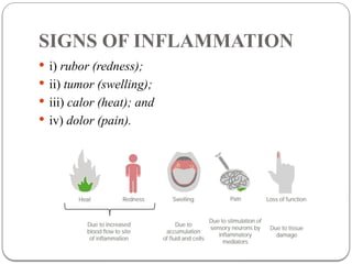 Comprehensive Overview of Inflammation and Tissue Repair Mechanisms | PPTX