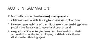 Comprehensive Overview of Inflammation and Tissue Repair Mechanisms | PPTX