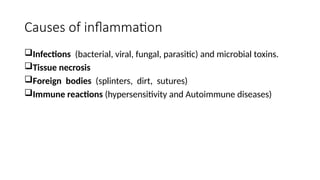 Comprehensive Overview of Inflammation and Tissue Repair Mechanisms | PPTX