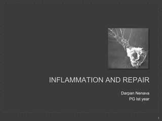 INFLAMMATION AND REPAIR
Darpan Nenava
PG Ist year

1

 