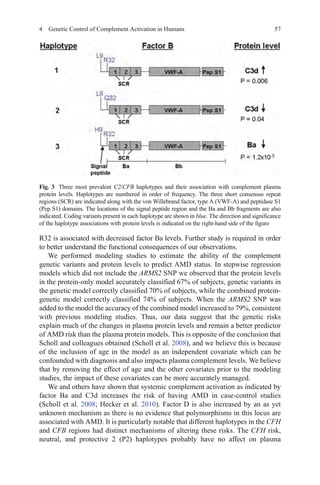 Inflammation and Retinal Disease Complement Biology and Pathology.pdf