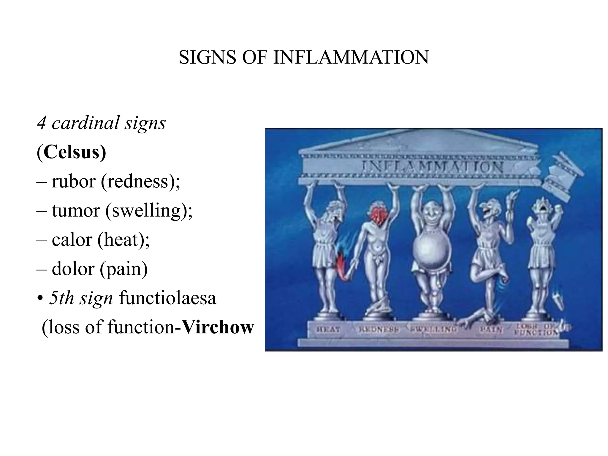 SIGNS OF INFLAMMATION
4 cardinal signs
(Celsus)
– rubor (redness);
– tumor (swelling);
– calor (heat);
– dolor (pain)
• 5th sign functiolaesa
(loss of function-Virchow
 