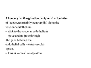 5.Leucocytic Margination peripheral orientation
of leucocytes (mainly neutrophils) along the
vascular endothelium
– stick to the vascular endothelium
– move and migrate through
the gaps between the
endothelial cells – extravascular
space.
– This is known is emigration
 