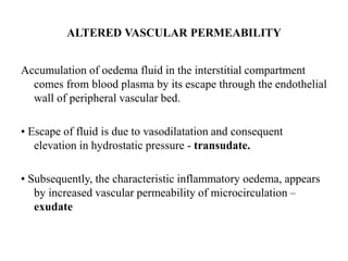 ALTERED VASCULAR PERMEABILITY
Accumulation of oedema fluid in the interstitial compartment
comes from blood plasma by its escape through the endothelial
wall of peripheral vascular bed.
• Escape of fluid is due to vasodilatation and consequent
elevation in hydrostatic pressure - transudate.
• Subsequently, the characteristic inflammatory oedema, appears
by increased vascular permeability of microcirculation –
exudate
 
