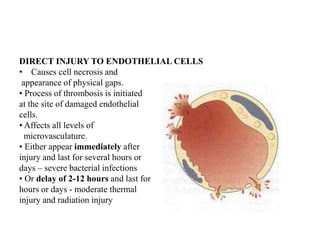DIRECT INJURY TO ENDOTHELIAL CELLS
• Causes cell necrosis and
appearance of physical gaps.
• Process of thrombosis is initiated
at the site of damaged endothelial
cells.
• Affects all levels of
microvasculature.
• Either appear immediately after
injury and last for several hours or
days – severe bacterial infections
• Or delay of 2-12 hours and last for
hours or days - moderate thermal
injury and radiation injury
 