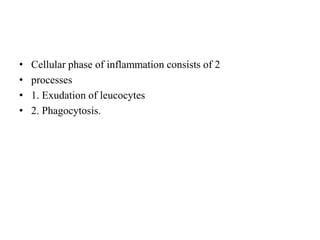• Cellular phase of inflammation consists of 2
• processes
• 1. Exudation of leucocytes
• 2. Phagocytosis.
 