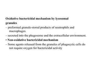 Oxidative bactericidal mechanism by lysosomal
granules
– preformed granule-stored products of neutrophils and
macrophages.
– secreted into the phagosome and the extracellular environment.
• Non-oxidative bactericidal mechanism
– Some agents released from the granules of phagocytic cells do
not require oxygen for bactericidal activity
 