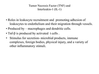 Tumor Necrosis Factor (TNF) and
Interleukin-1 (IL-1)
• Roles in leukocyte recruitment and promoting adhesion of
leukocytes to endothelium and their migration through vessels.
• Produced by – macrophages and dendritic cells.
• Tnf-β is produced by activated t cells .
• Stimulus for secretion- microbial products, immune
complexes, foreign bodies, physical injury, and a variety of
other inflammatory stimuli.
 
