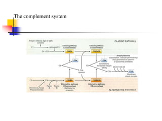 The complement system
 