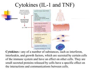 Cytokines (IL-1 and TNF)
Cytokines : any of a number of substances, such as interferon,
interleukin, and growth factors, which are secreted by certain cells
of the immune system and have an effect on other cells. They are
small secreted proteins released by cells have a specific effect on
the interactions and communications between cells.
 