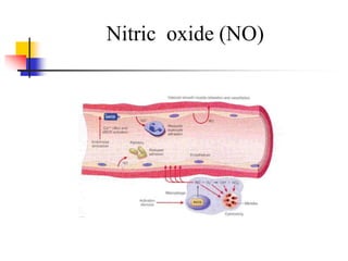Nitric oxide (NO)
 