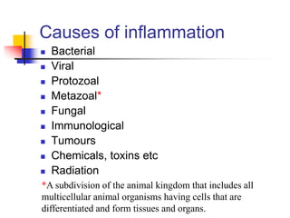 Causes of inflammation
 Bacterial
 Viral
 Protozoal
 Metazoal*
 Fungal
 Immunological
 Tumours
 Chemicals, toxins etc
 Radiation
*A subdivision of the animal kingdom that includes all
multicellular animal organisms having cells that are
differentiated and form tissues and organs.
 