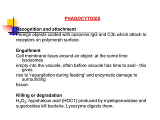 PHAGOCYTOSIS
Recognition and attachment
Foreign objects coated with opsonins IgG and C3b which attach to
receptors on polymorph surface.
Engulfment
Cell membrane fuses around an object: at the some time
lysosomes
empty into the vacuole, often before vacuole has time to seal - this
gives
rise to 'regurgitation during feeding' and enzymatic damage to
surrounding
tissue.
Killing or degradation
H2O2, hypohalous acid (HOC1) produced by myeloperoxidase and
superoxides kill bacteria. Lysozyme digests them.
 