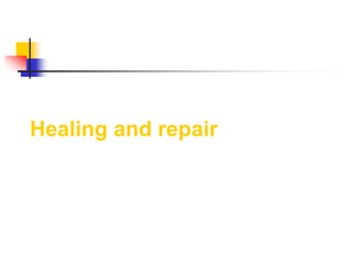 Healing and repair
 