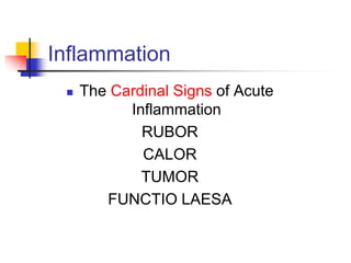 Inflammation
 The Cardinal Signs of Acute
Inflammation
RUBOR
CALOR
TUMOR
FUNCTIO LAESA
 