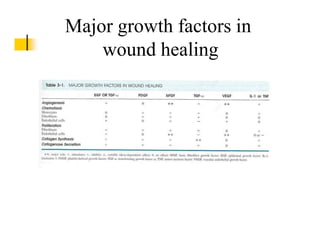 Major growth factors in
wound healing
 