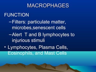 MACROPHAGESMACROPHAGES
FUNCTION
–Filters: particulate matter,
microbes,senescent cells
–Alert T and B lymphocytes to
injurious stimuli
• Lymphocytes, Plasma Cells,
Eosinophils, and Mast Cells
 