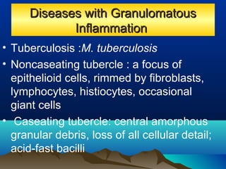 Diseases with GranulomatousDiseases with Granulomatous
InflammationInflammation
• Tuberculosis :M. tuberculosis
• Noncaseating tubercle : a focus of
epithelioid cells, rimmed by fibroblasts,
lymphocytes, histiocytes, occasional
giant cells
• Caseating tubercle: central amorphous
granular debris, loss of all cellular detail;
acid-fast bacilli
 