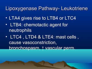 Lipoxygenase Pathway- LeukotrieneLipoxygenase Pathway- Leukotriene
• LTA4 gives rise to LTB4 or LTC4
• LTB4: chemotactic agent for
neutrophils
• LTC4 , LTD4 & LTE4: mast cells ,
cause vasoconstriction,
bronchospasm, ↑ vascular perm.
 