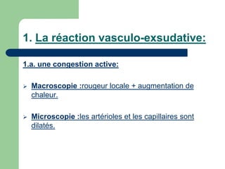 1. La réaction vasculo-exsudative:
1.a. une congestion active:
 Macroscopie :rougeur locale + augmentation de
chaleur.
 Microscopie :les artérioles et les capillaires sont
dilatés.
 