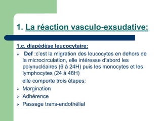 1. La réaction vasculo-exsudative:
1.c. diapédèse leucocytaire:
 Def :c’est la migration des leucocytes en dehors de
la microcirculation, elle intéresse d’abord les
polynucléaires (6 à 24H) puis les monocytes et les
lymphocytes (24 à 48H)
elle comporte trois étapes:
 Margination
 Adhérence
 Passage trans-endothélial
 