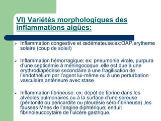 VI) Variétés morphologiques des
inflammations aigües:
 Inflammation congestive et œdémateuse:ex:OAP,erytheme
solaire (coup de soleil)
 Inflammation hémorragique: ex: pneumonie virale, purpura
d’une septicémie à méningocoque .elle est due à une
erythrodiapédèse secondaire à une fragilisation de
l’endothélium par l’agent lui-même ou à une perturbation
vasculaire antérieure avec stase
 Inflammation fibrineuse: ex: dépôt de fibrine dans les
alvéoles pulmonaires ou à la surface d’une séreuse
(péritonite ou péricardite ou pleurésie séro-fibrineuse) ,les
fausses Mnes de l’angine diphtérique; enduit
fibrinoleucocytaire de l’ulcère gastrique.
 