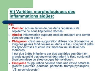 VI) Variétés morphologiques des
inflammations aigües:
NB:
 Pustule: accumulation de pus dans l’épaisseur de
l’épiderme ou sous l’épiderme décollé .
 Abcès: inflammation suppuré localisé creusant une cavité
dans un organe plein .
 Phlegmon :c’est une suppuration diffuse non circonscrite ,le
long des gaines tendineuses ou dans le tissu conjonctif entre
les aponévroses et entre les faisceaux musculaire des
membres.
Il est due à des infections par des bactéries secrétant en
grande quantité des enzymes dégradant le tissu conjonctif
(hyaluronidase du streptocoque hémolytique) .
 Empyème :suppuration collecté dans une cavité naturelle
(plèvre: pleurésie ,péritoine: péritonite, trompe:pyosalpinx,
VB: pyocholecyste )
 