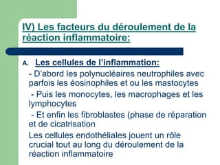 IV) Les facteurs du déroulement de la
réaction inflammatoire:
A. Les cellules de l’inflammation:
- D’abord les polynucléaires neutrophiles avec
parfois les éosinophiles et ou les mastocytes
- Puis les monocytes, les macrophages et les
lymphocytes
- Et enfin les fibroblastes (phase de réparation
et de cicatrisation
Les cellules endothéliales jouent un rôle
crucial tout au long du déroulement de la
réaction inflammatoire
 