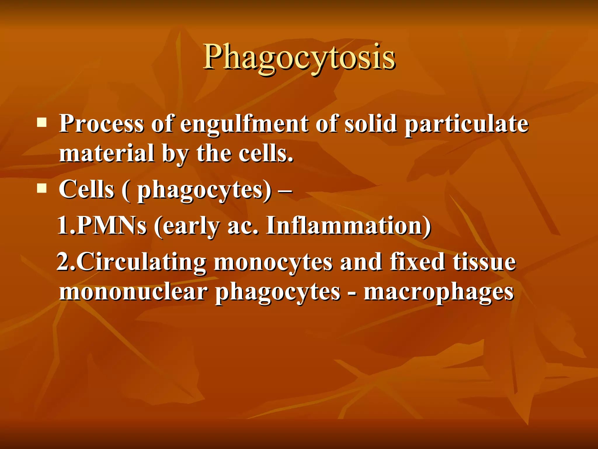 Phagocytosis Process of engulfment of solid particulate material by the cells. Cells ( phagocytes) – 1.PMNs (early ac. Inflammation) 2.Circulating monocytes and fixed tissue  mononuclear phagocytes - macrophages  